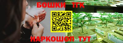 spice Лесосибирск