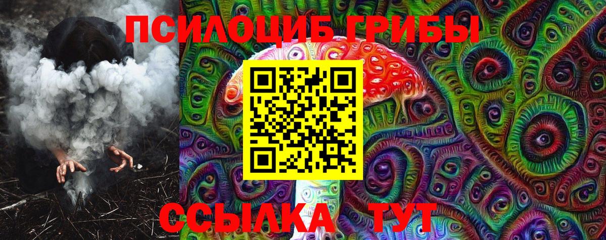 Зеленодольск  Галлюциногенные грибы Magic Shrooms  Вход с VPN  закладка  Псилоцибиновые грибы Cubensis 