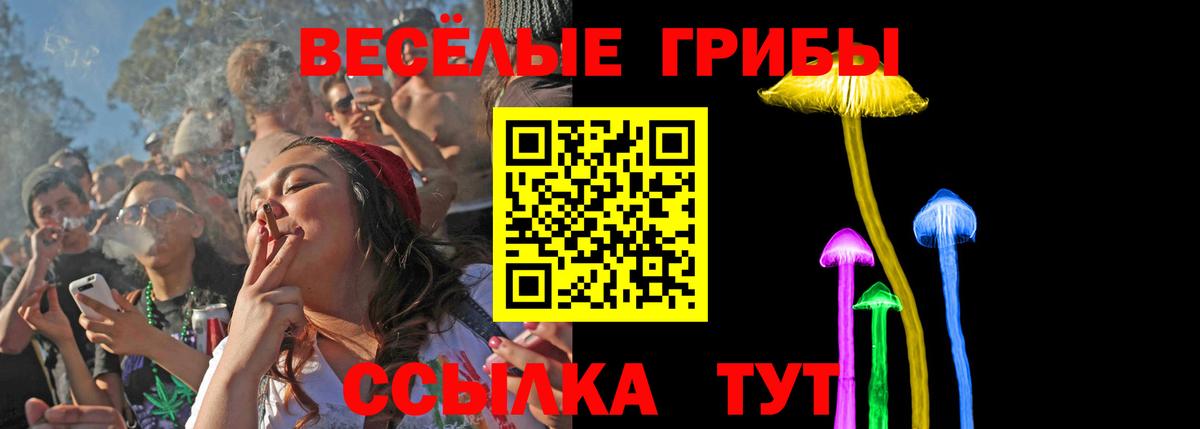 Псилоцибиновые грибы Psilocybine cubensis Зеленодольск